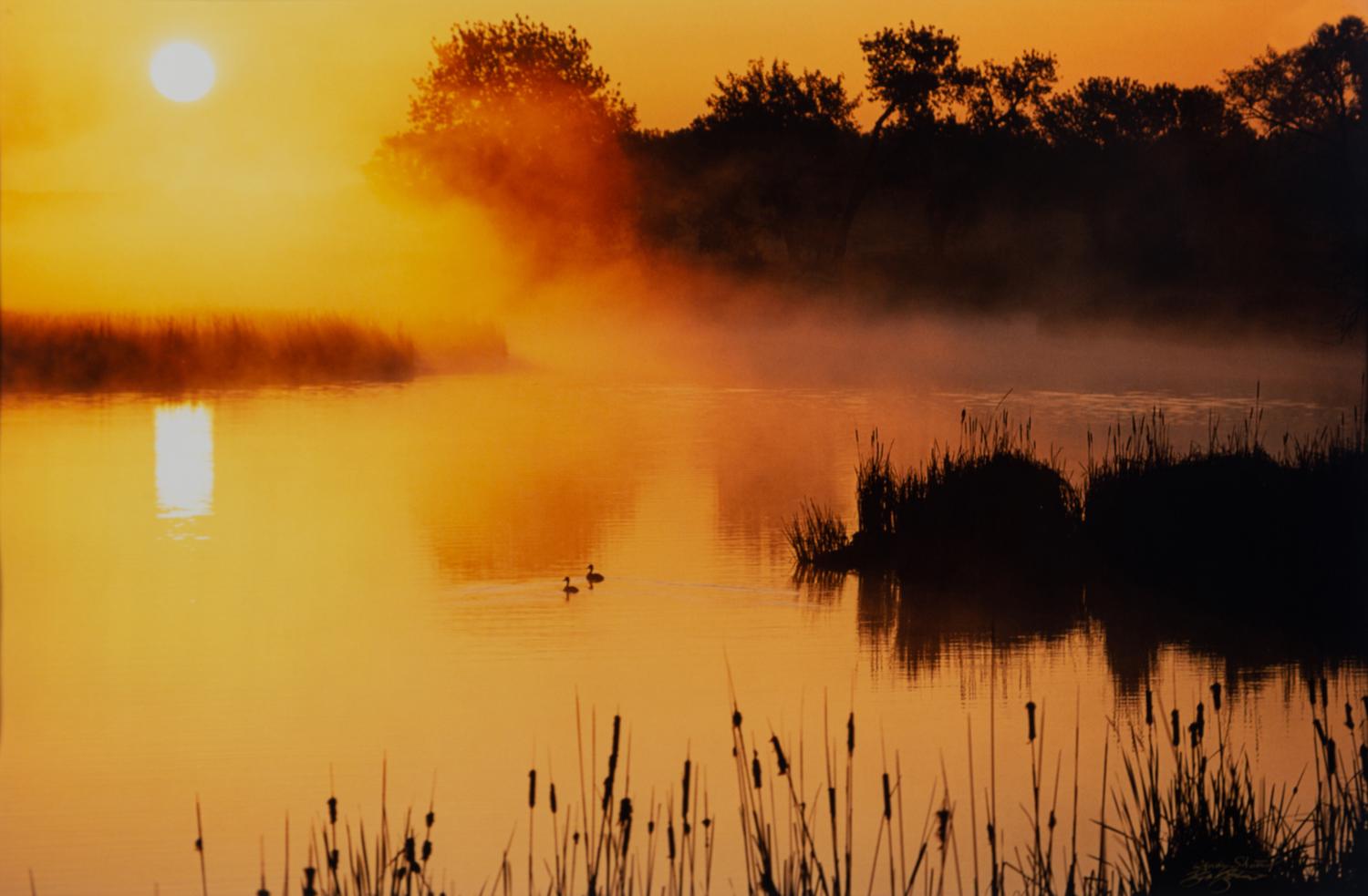 Prairie Vision: Images from a Sea of Grass (2002) Twenty Color Photographs