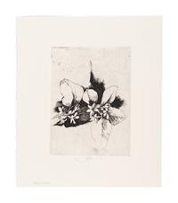 MOSER, Barry. Mayflower. [ca 1979]. 269 x 230 mm. Etching. Captioned and signed in pencil, designated artist’s proof (“ap”). — Bunchberry. [ca 1979]. 269 x 237 mm. Etching. Captioned and signed in pencil, numbered 16/25.