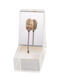 An Egyptian Steatite Scarab