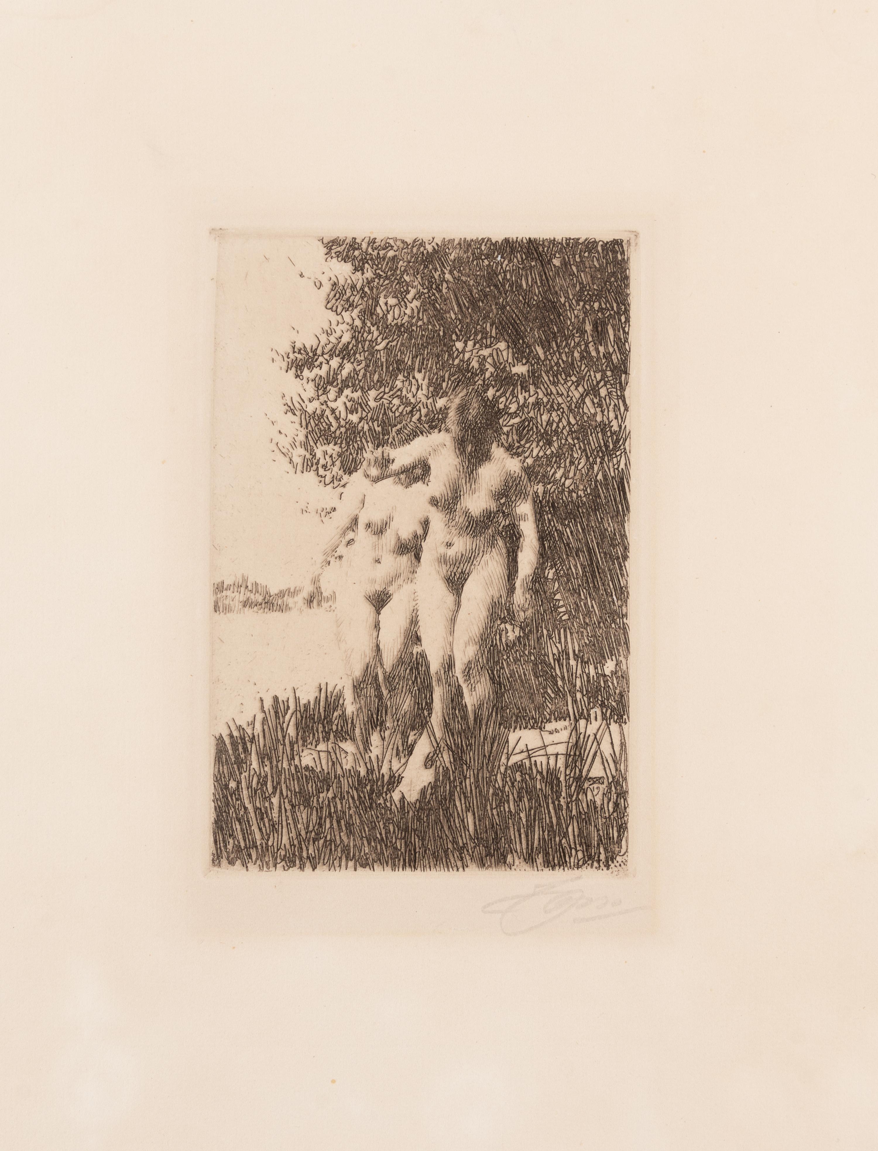 Alder