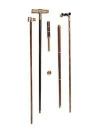 Four Brass-Mounted Optical System Walking Sticks