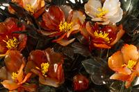 A Pair of Large Chinese Hardstone Models of Flowering Plants in Hardstone Bases