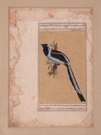 Seven Islamic Paintings