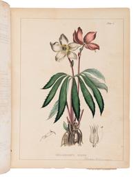 CARSON, Joseph (1808-1876). Illustrations of Medical Botany . Philadelphia: Robert P. Smith, 1847.