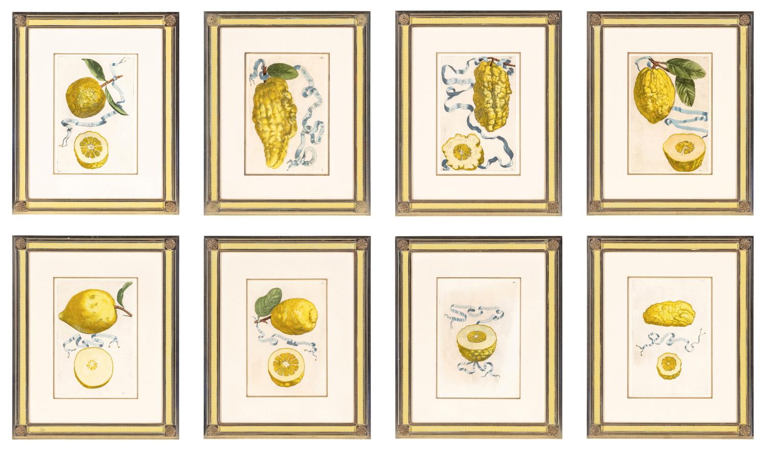 A Set of Eight Giovanni Battista Ferrari Colored Engravings of Fruit From Hesperides
