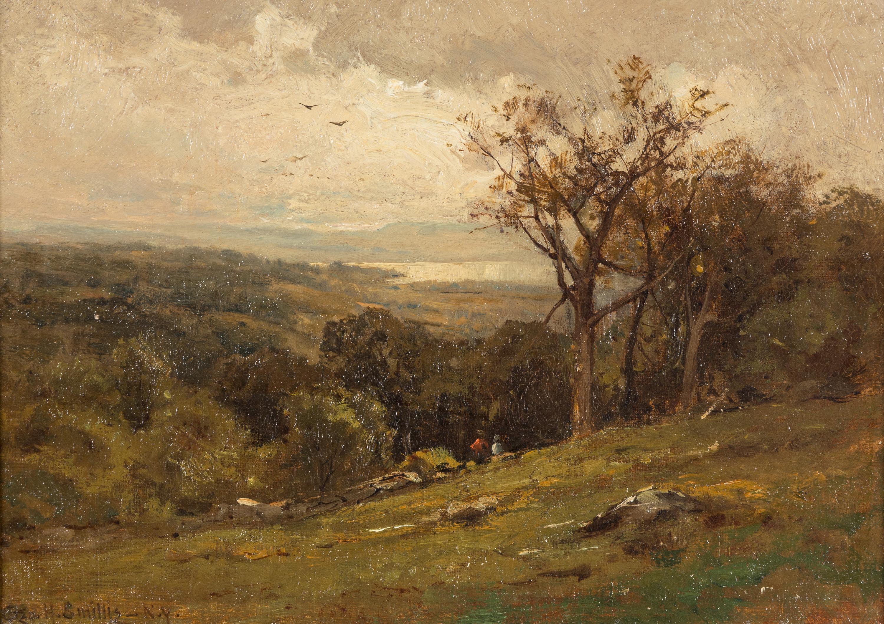 A Cloudswept View