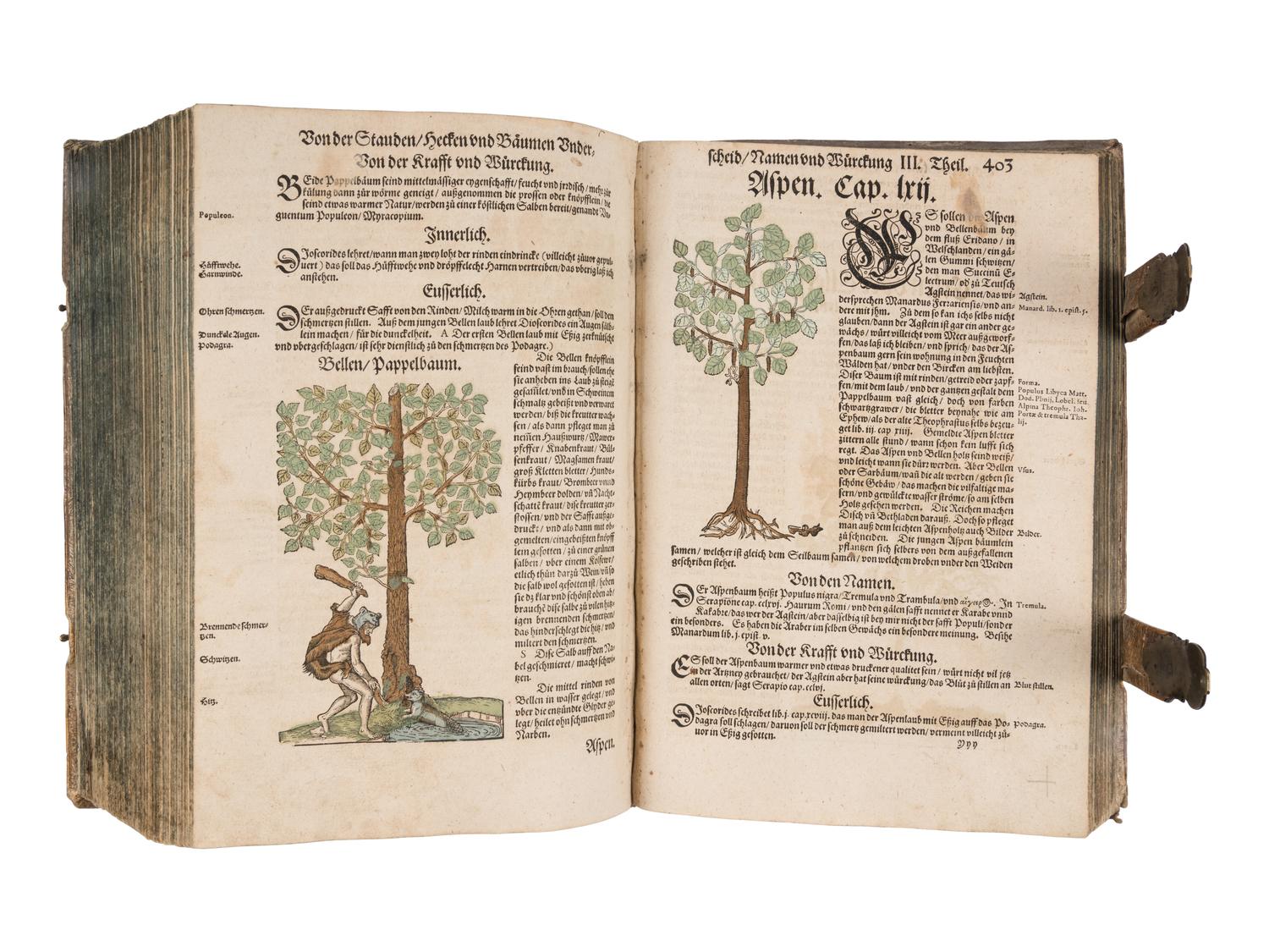 [NATURAL HISTORY]. BOCK, Hieronymus (1489?-1554). Kreutterbuch. Strassburg: Josias Rihel, 28 August 1595.