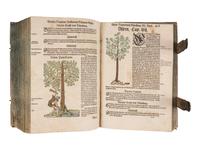[NATURAL HISTORY]. BOCK, Hieronymus (1489?-1554). Kreutterbuch. Strassburg: Josias Rihel, 28 August 1595.