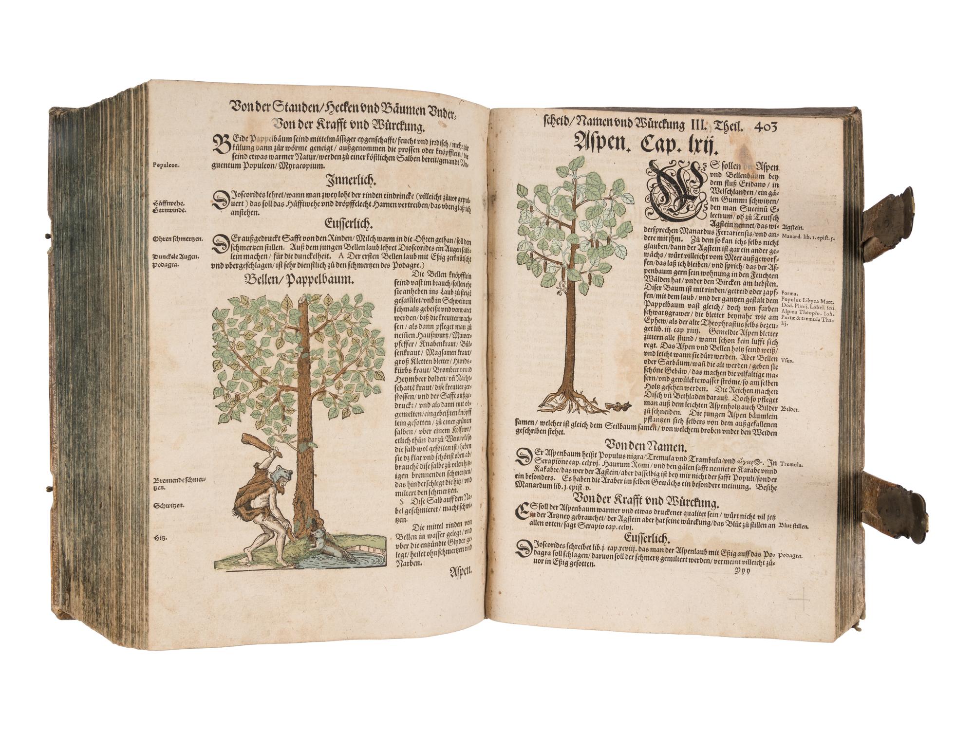 [NATURAL HISTORY]. BOCK, Hieronymus (1489?-1554). Kreutterbuch. Strassburg: Josias Rihel, 28 August 1595.