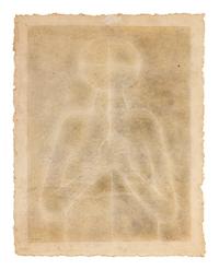 Torso Blanco