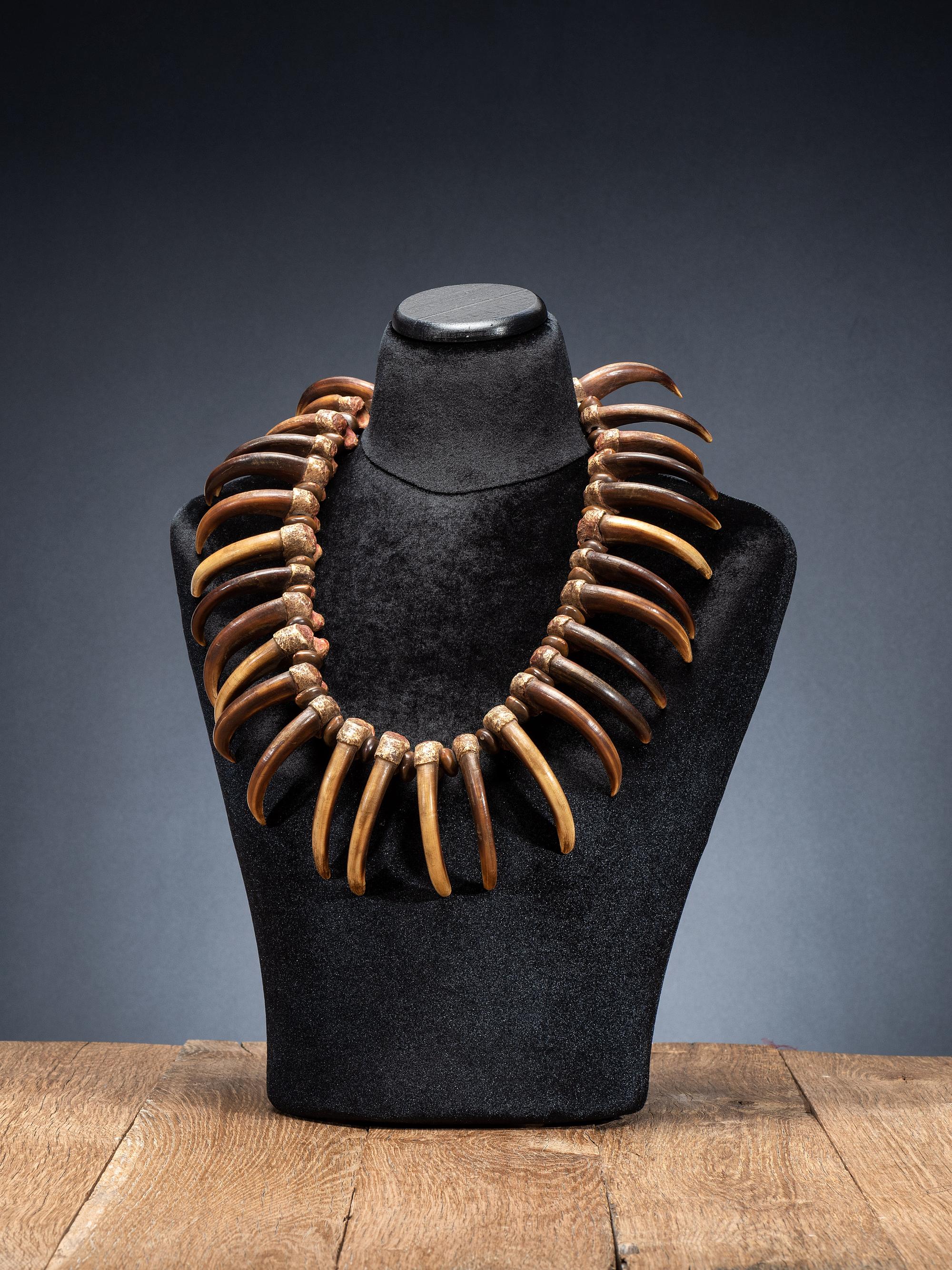 Sioux Grizzly Bear Claw Necklace