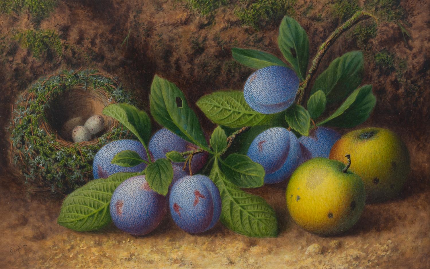Still-Life of Fruit