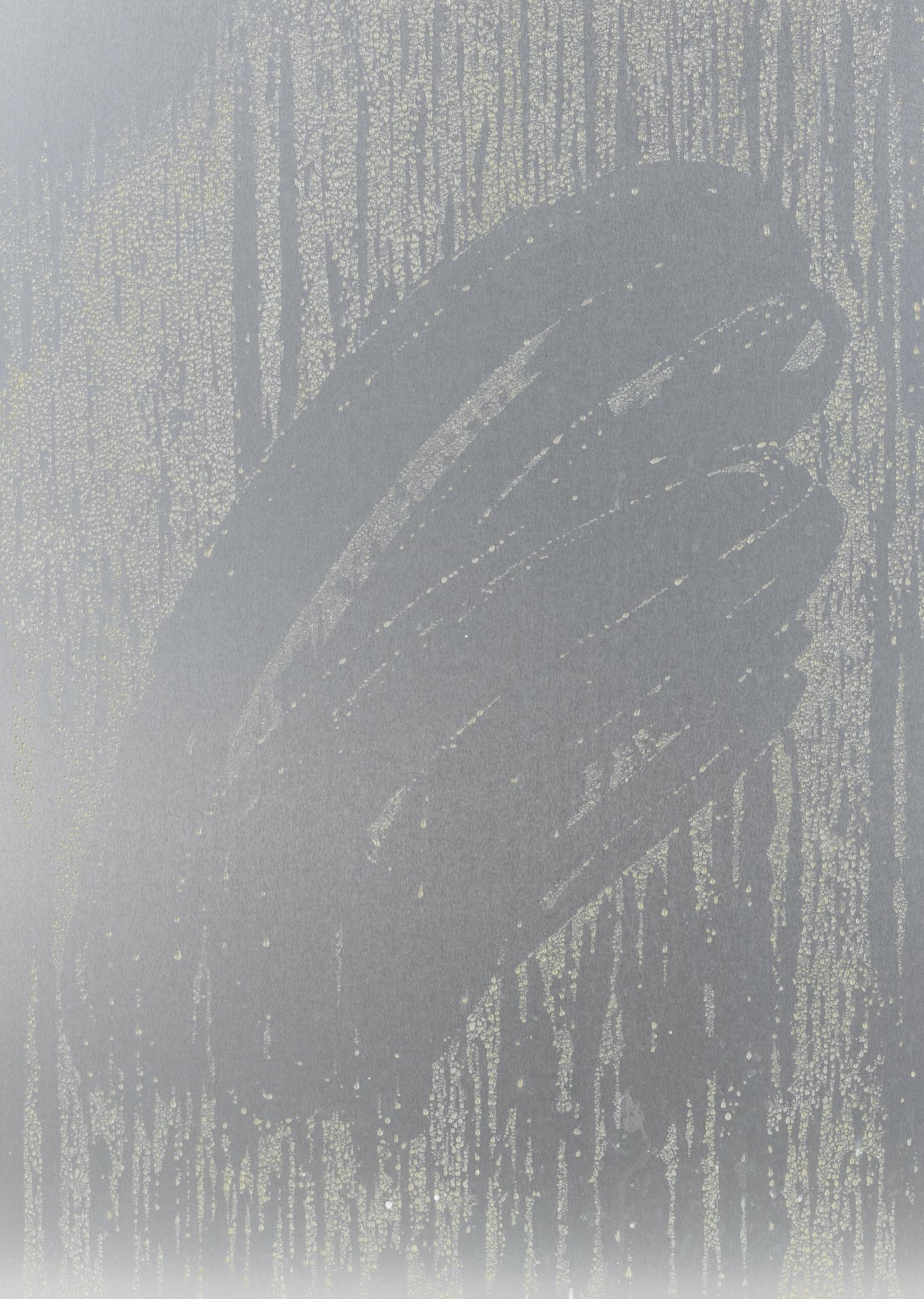 Prem Sahib (British, b. 1982) — Work That Body , 2012