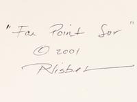 Far Point Sur