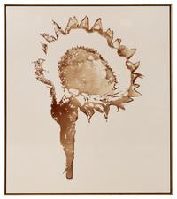 Sunflower #6, 2003