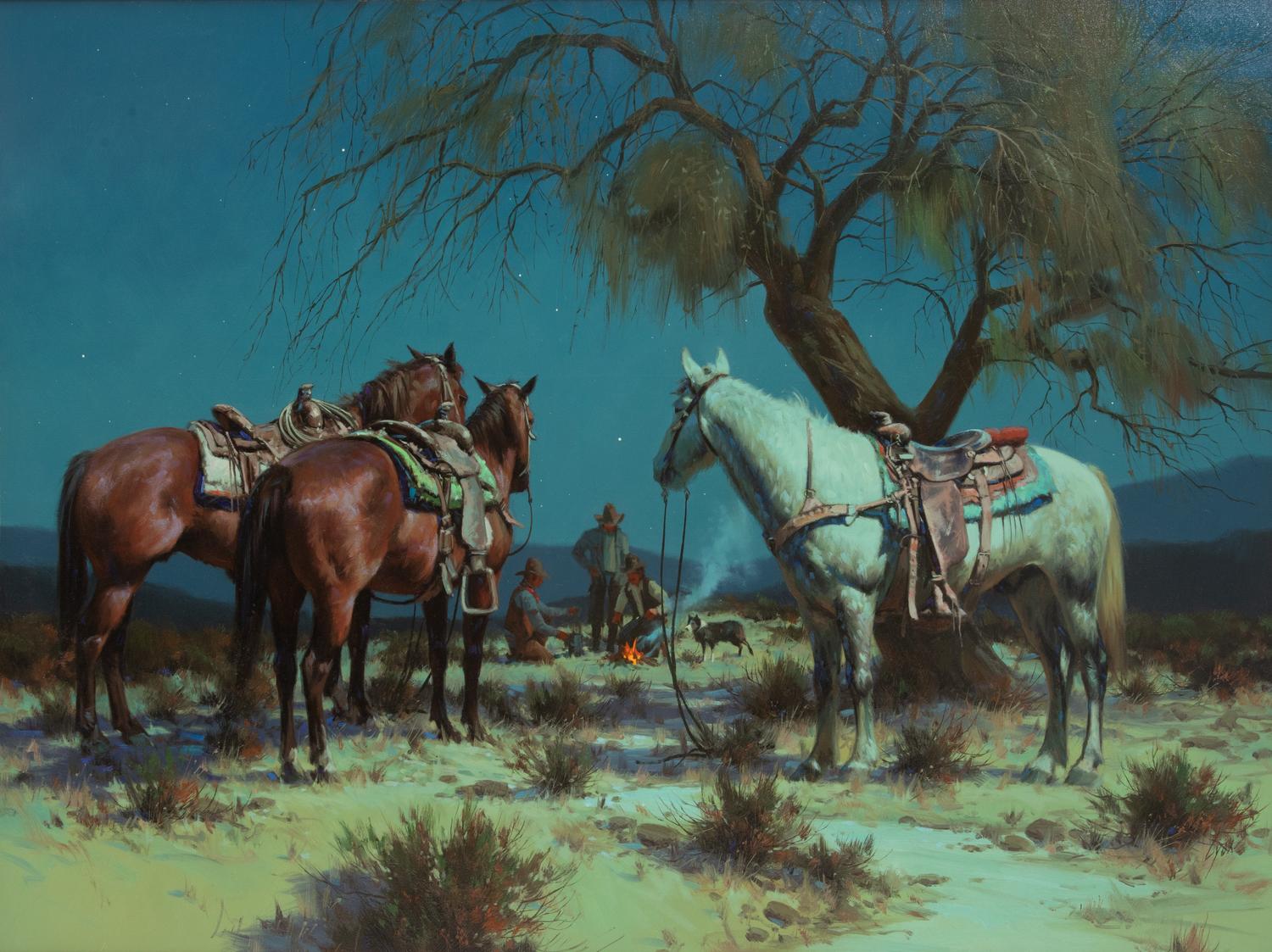 Desert Moonlight