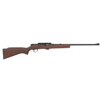 *Harrington & Richardson Model 700 22 WMRF