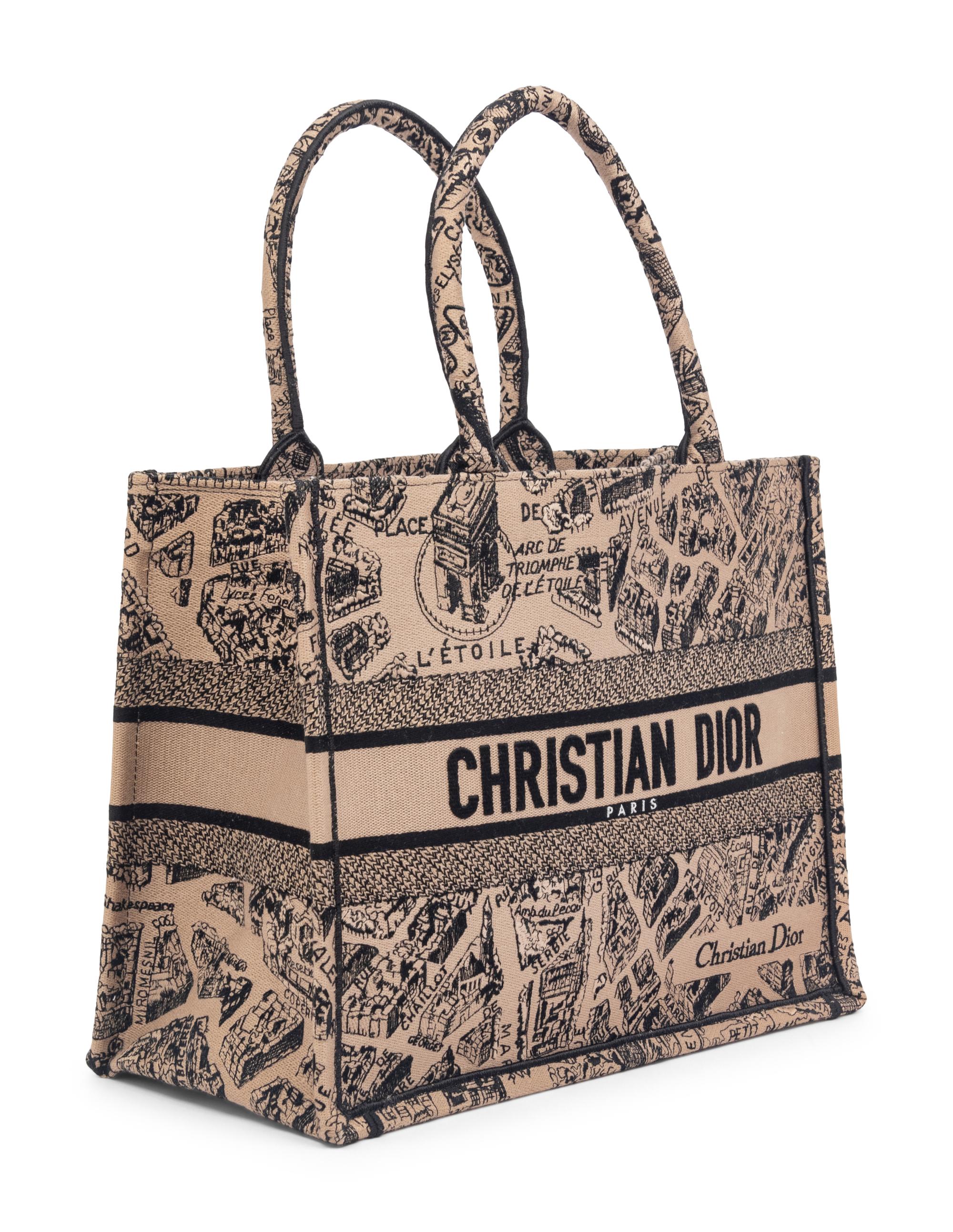 CHRISTIAN DIOR 'PLAN DE PARIS' BOOK TOTE