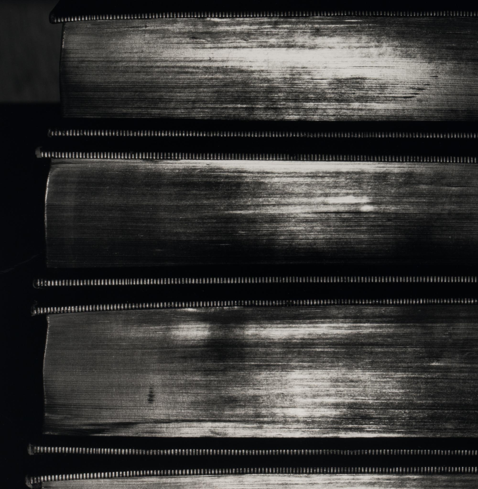 Shiny Books , 2000