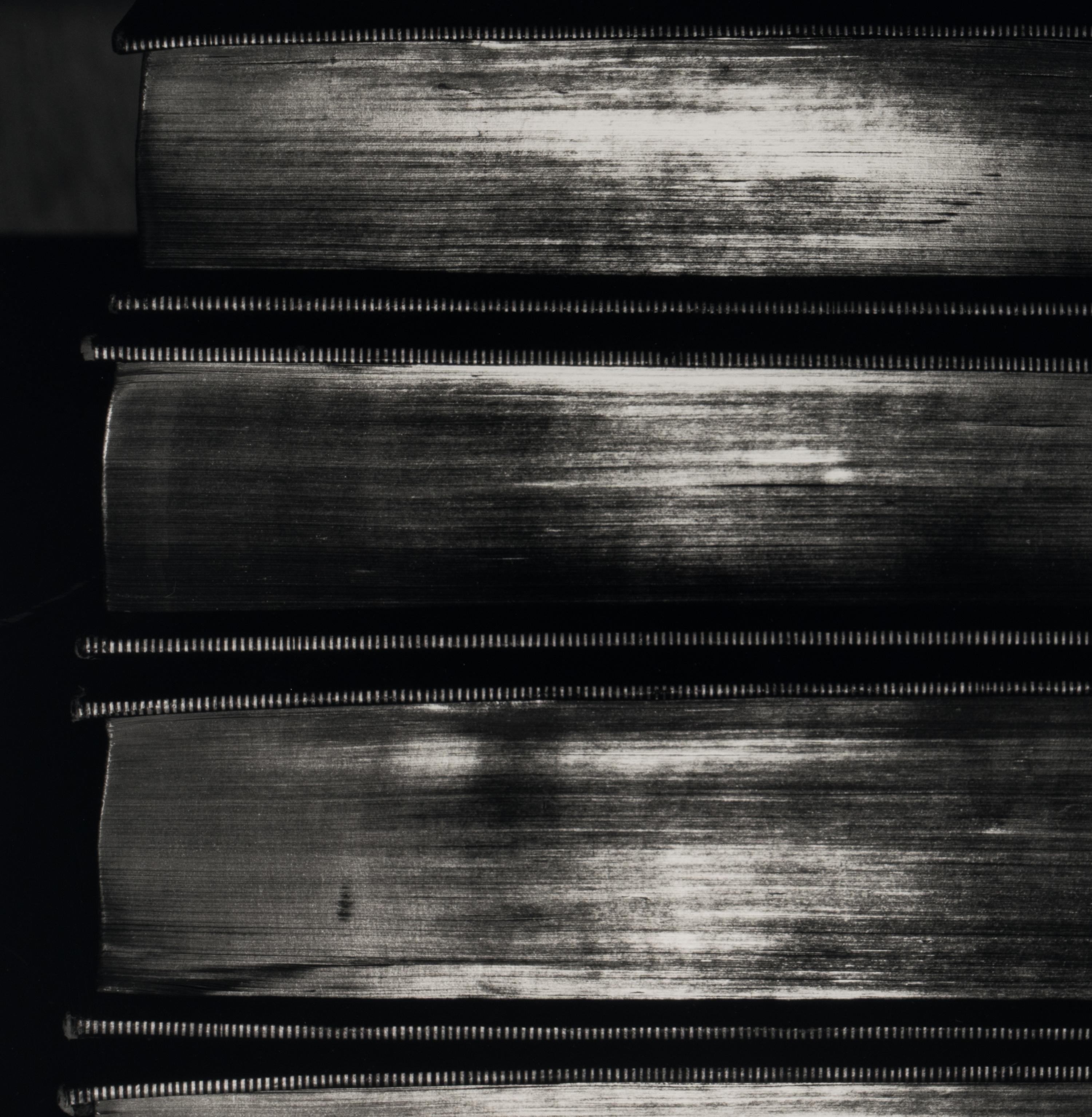 Shiny Books , 2000