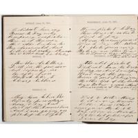 Civil War Diary of Thomas Mains, 33rd Independent Battery, Light Artillery, NYSV