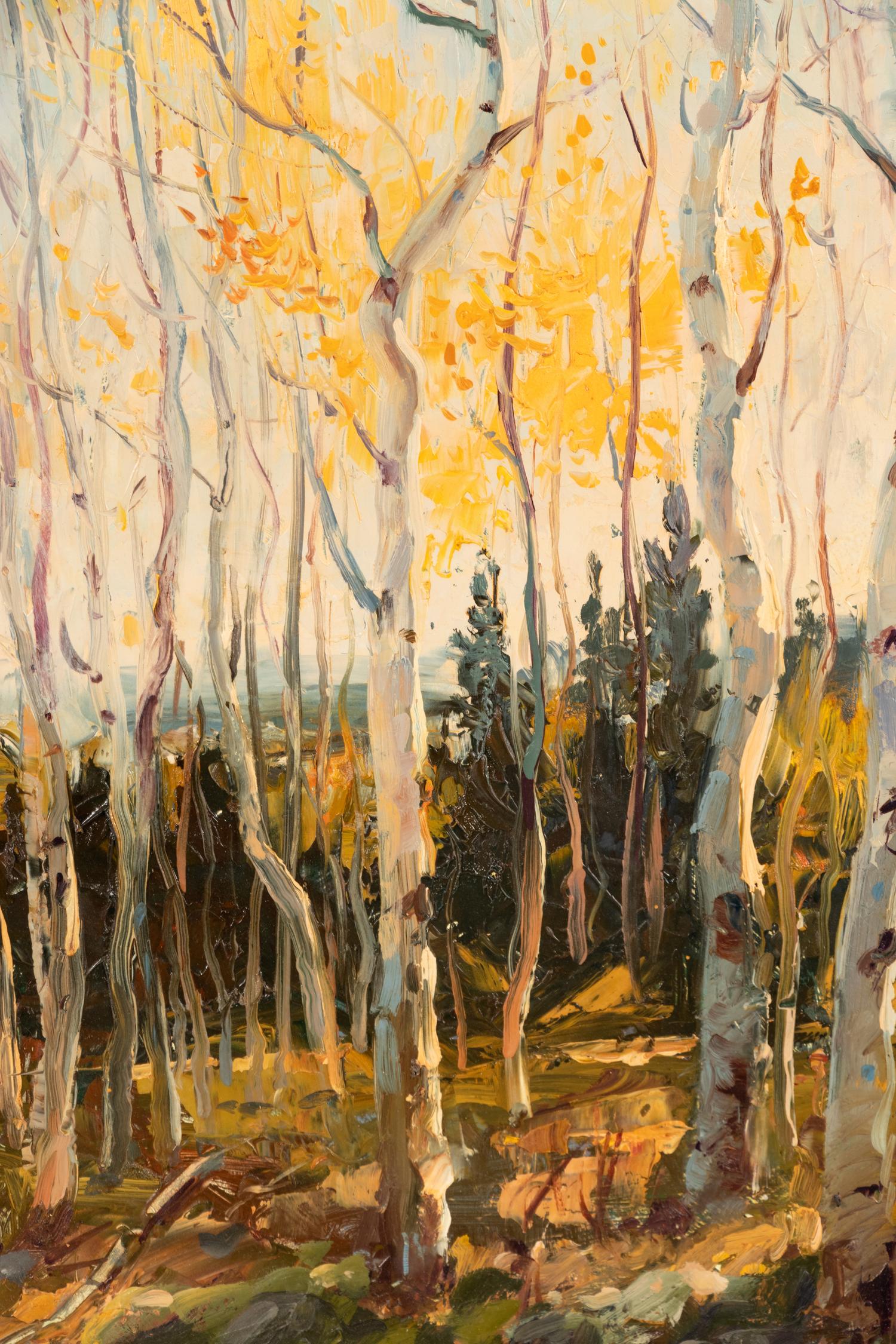 Late Fall Aspens
