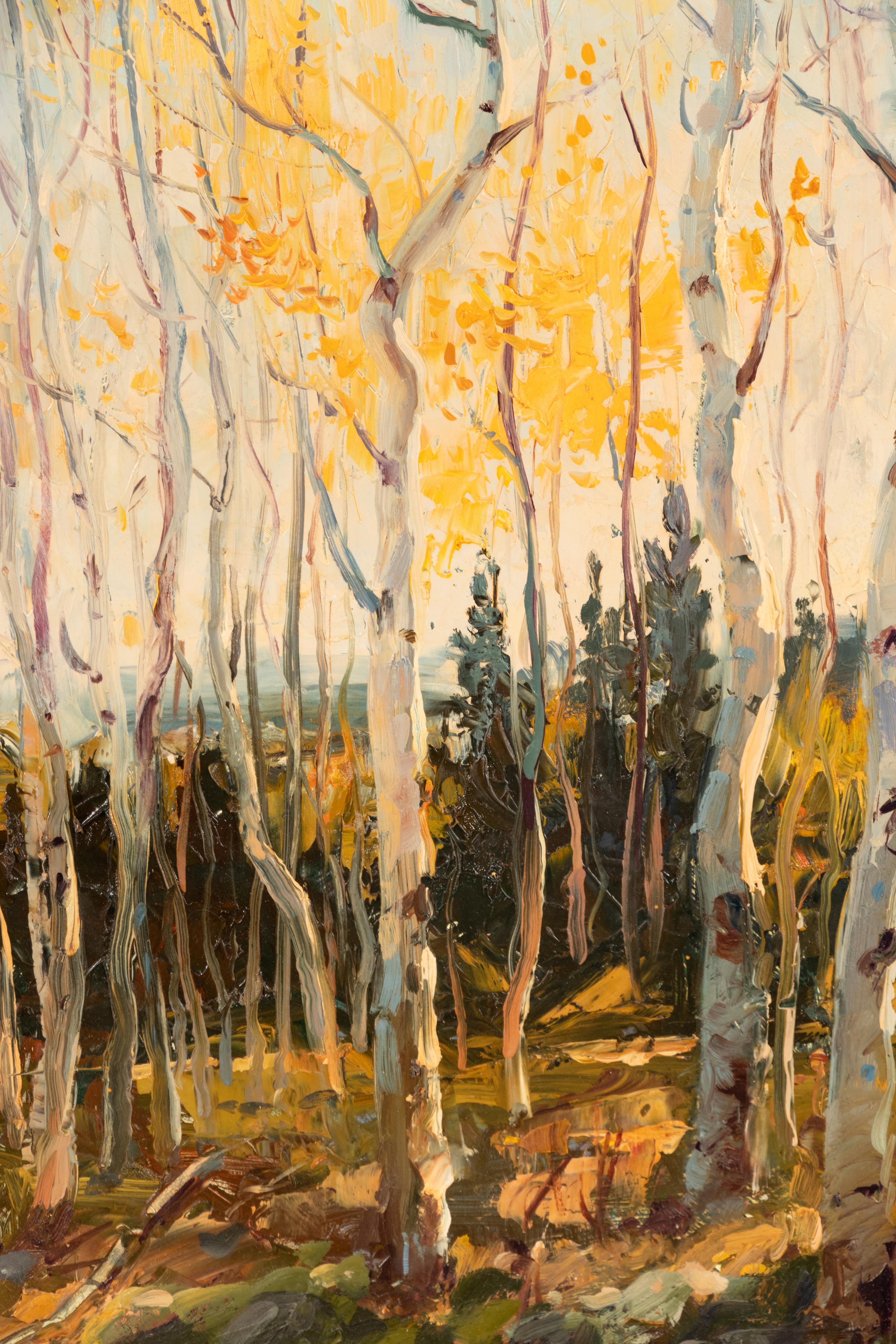 Late Fall Aspens