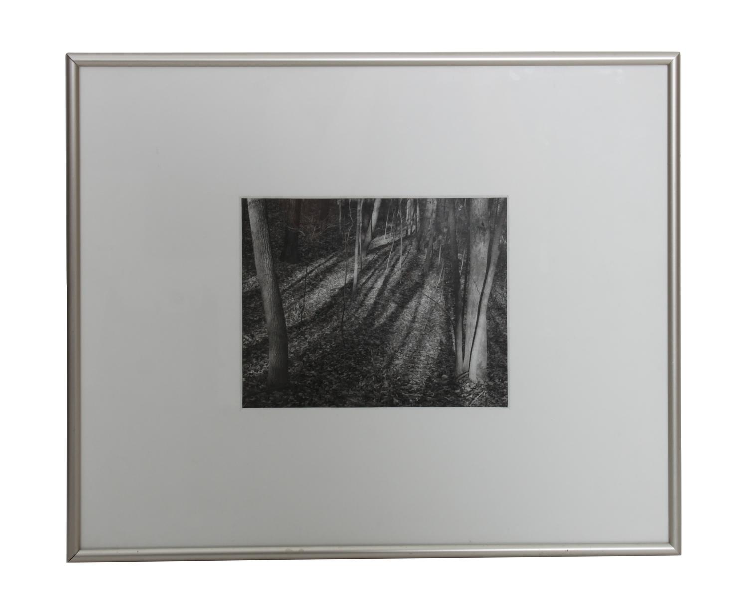 Douglas Frank, (American, 20th century), Woods Wisconsin