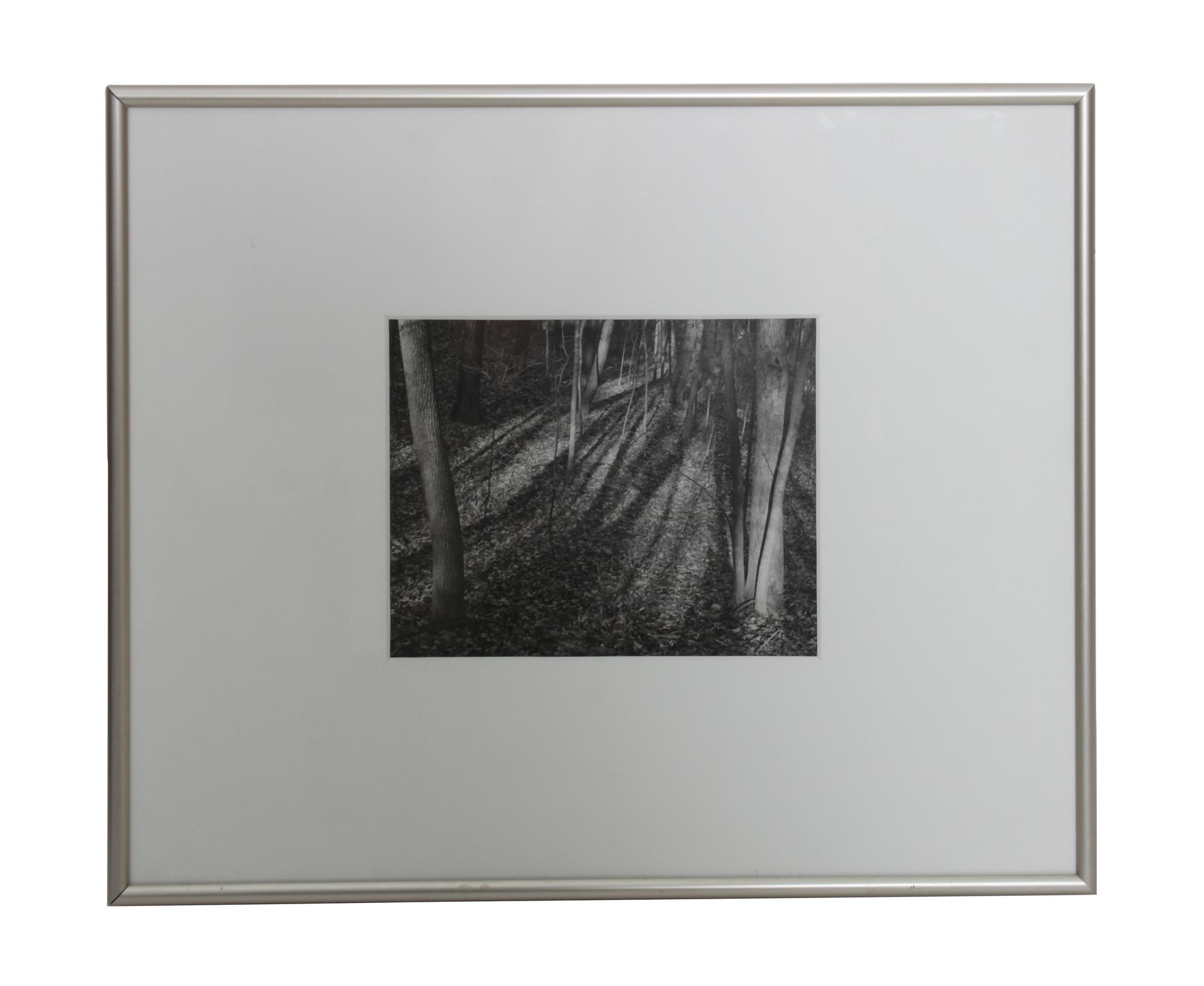 Douglas Frank, (American, 20th century), Woods Wisconsin