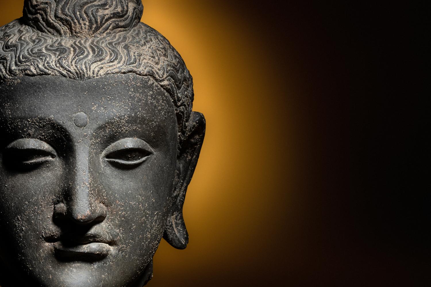 A Gandharan Grey Schist Head of Buddha Shakyamuni