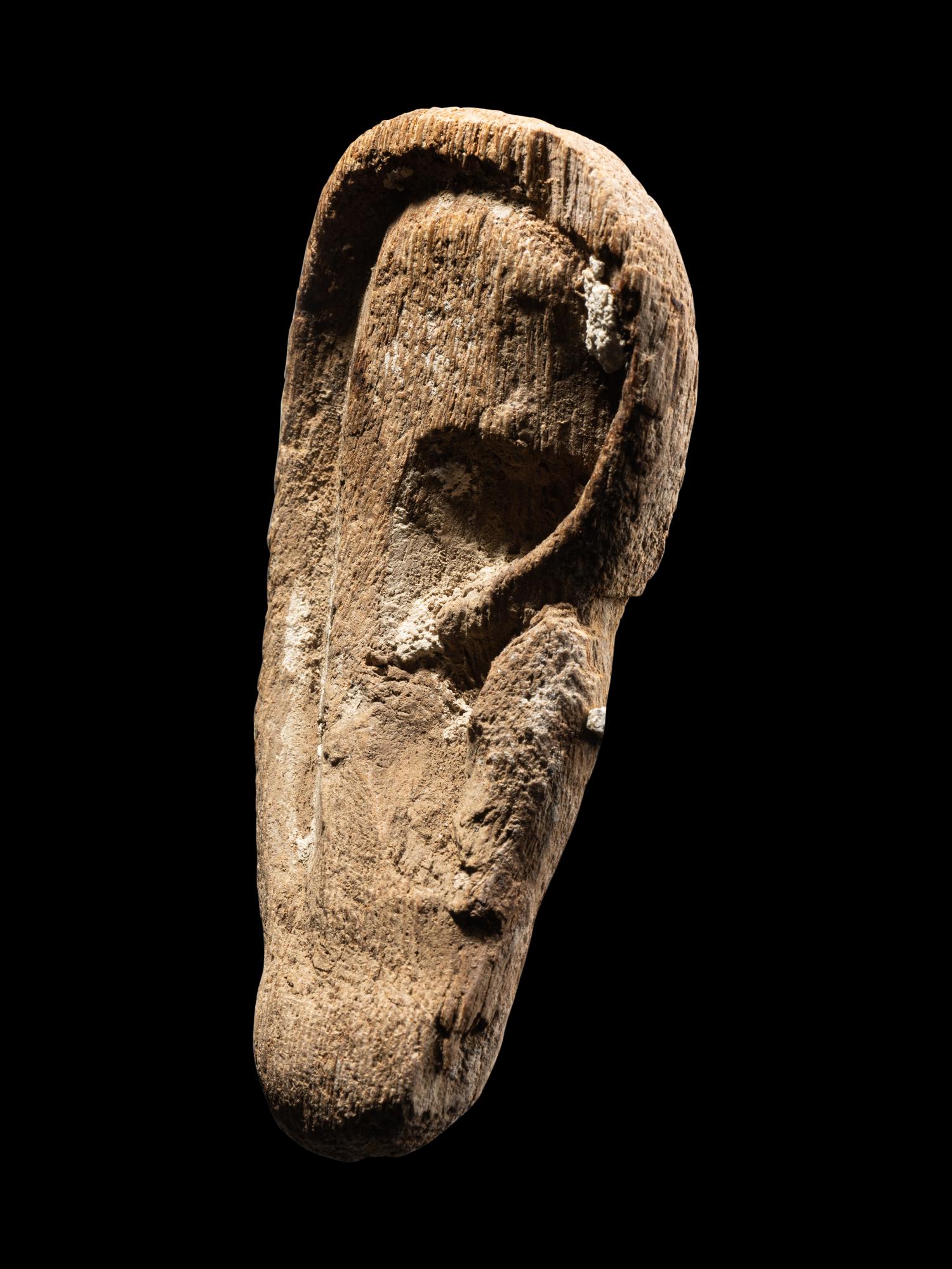 An Egyptian Wood Ear From a Mummy Mask