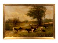 Cows Grazing