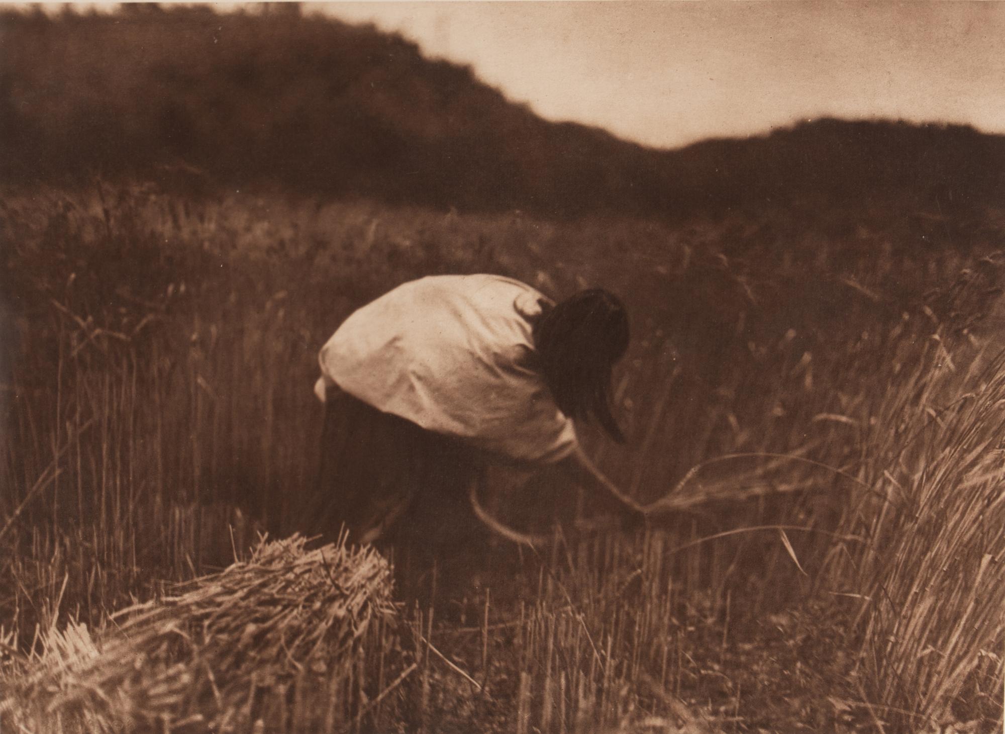 The Apache Reaper, Plate 8