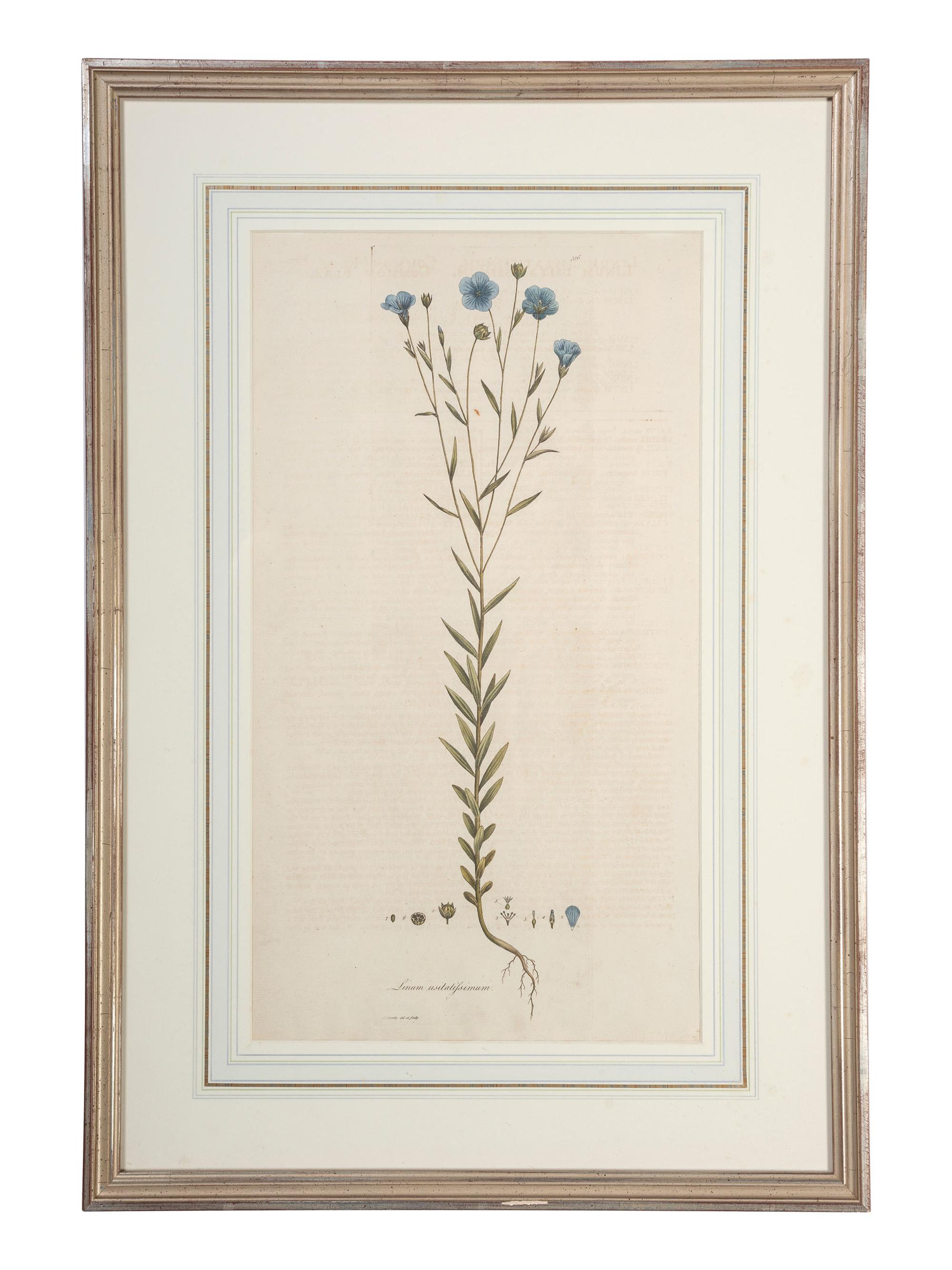 Five Hand-Colored Botanical Engravings