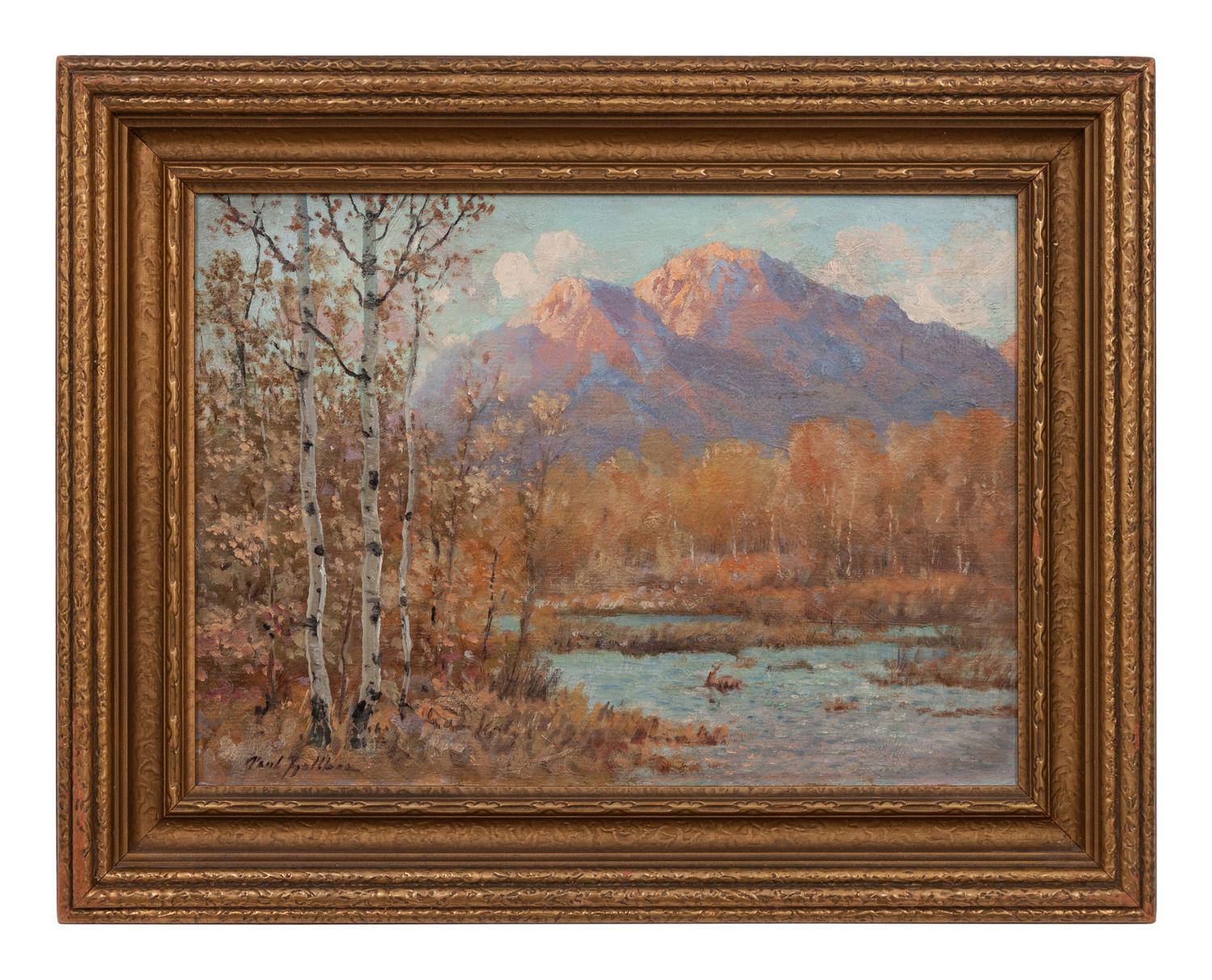Colorado Aspens