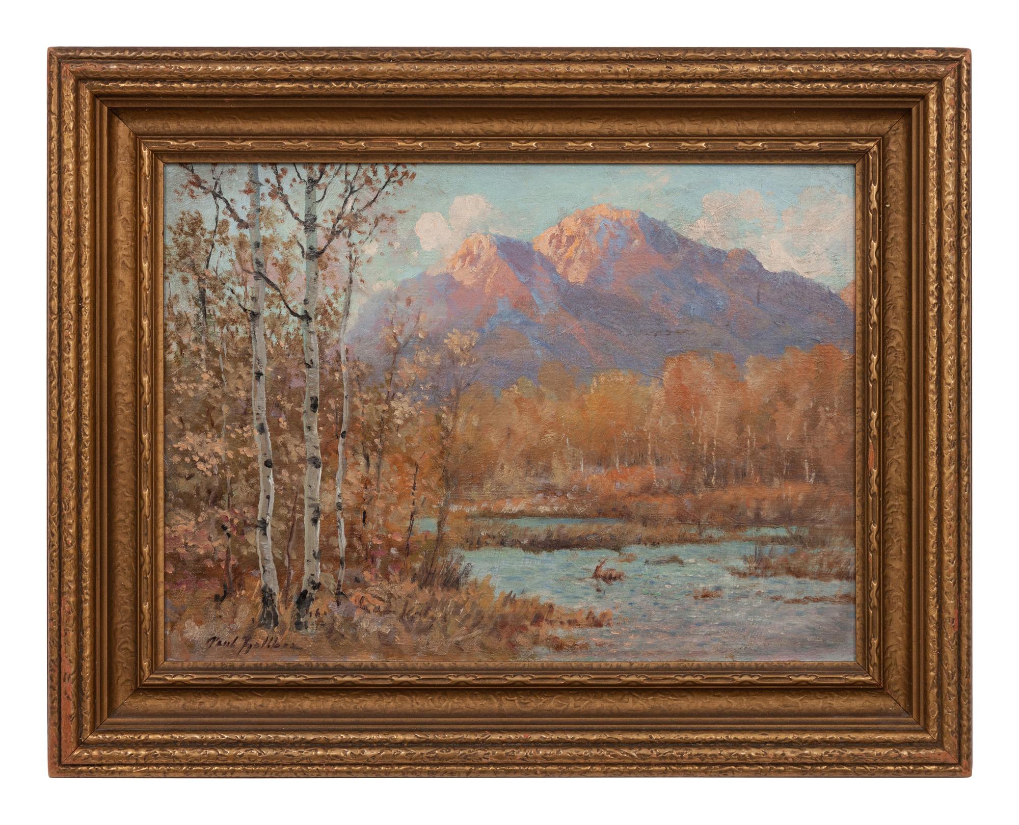 Colorado Aspens