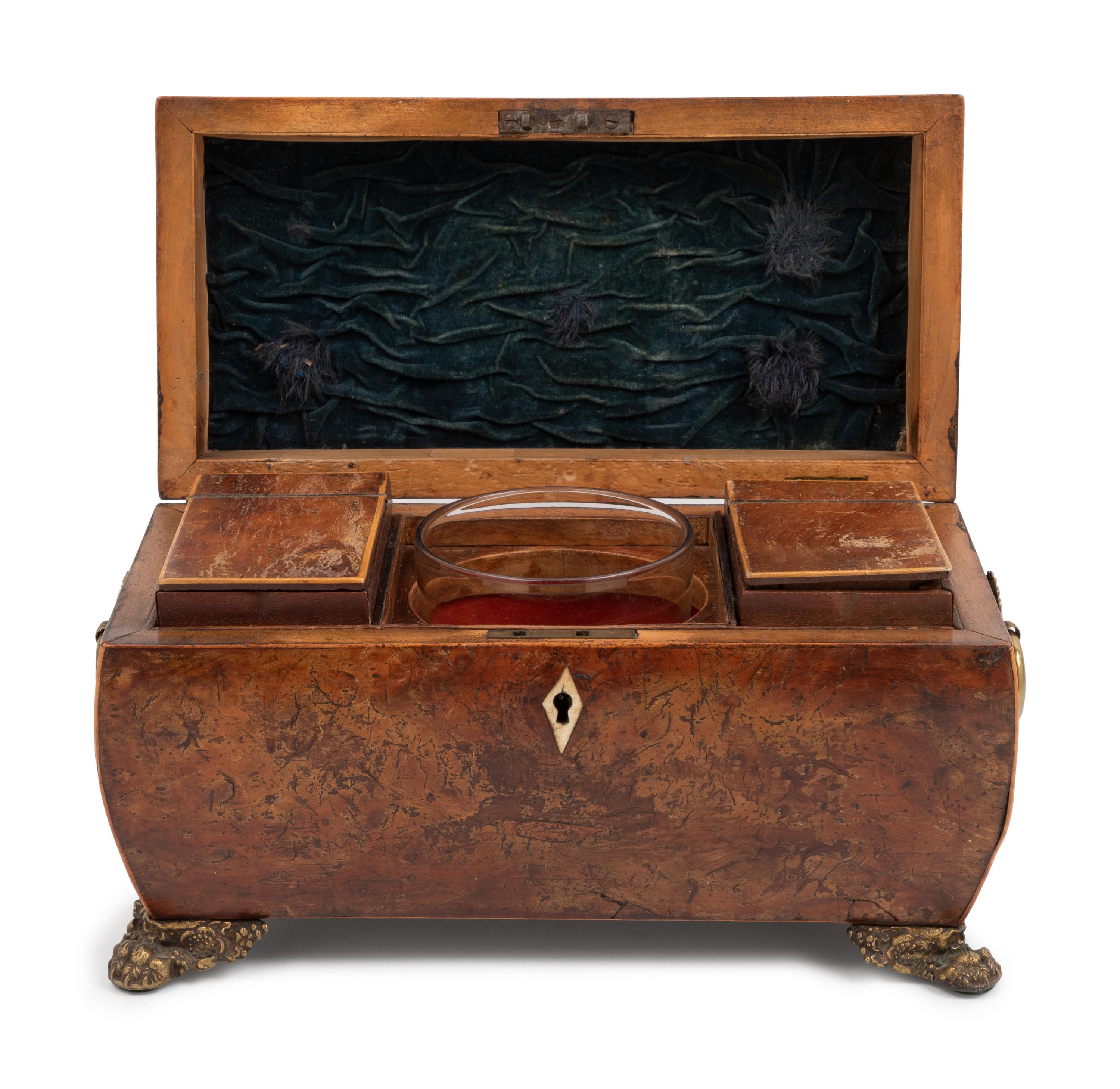 An English Burlwood Tea Caddy