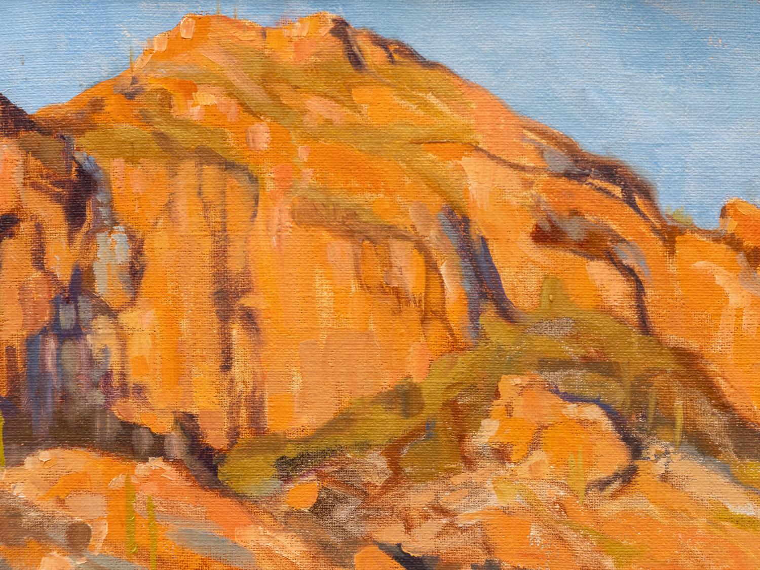 Catalinas at Sunset