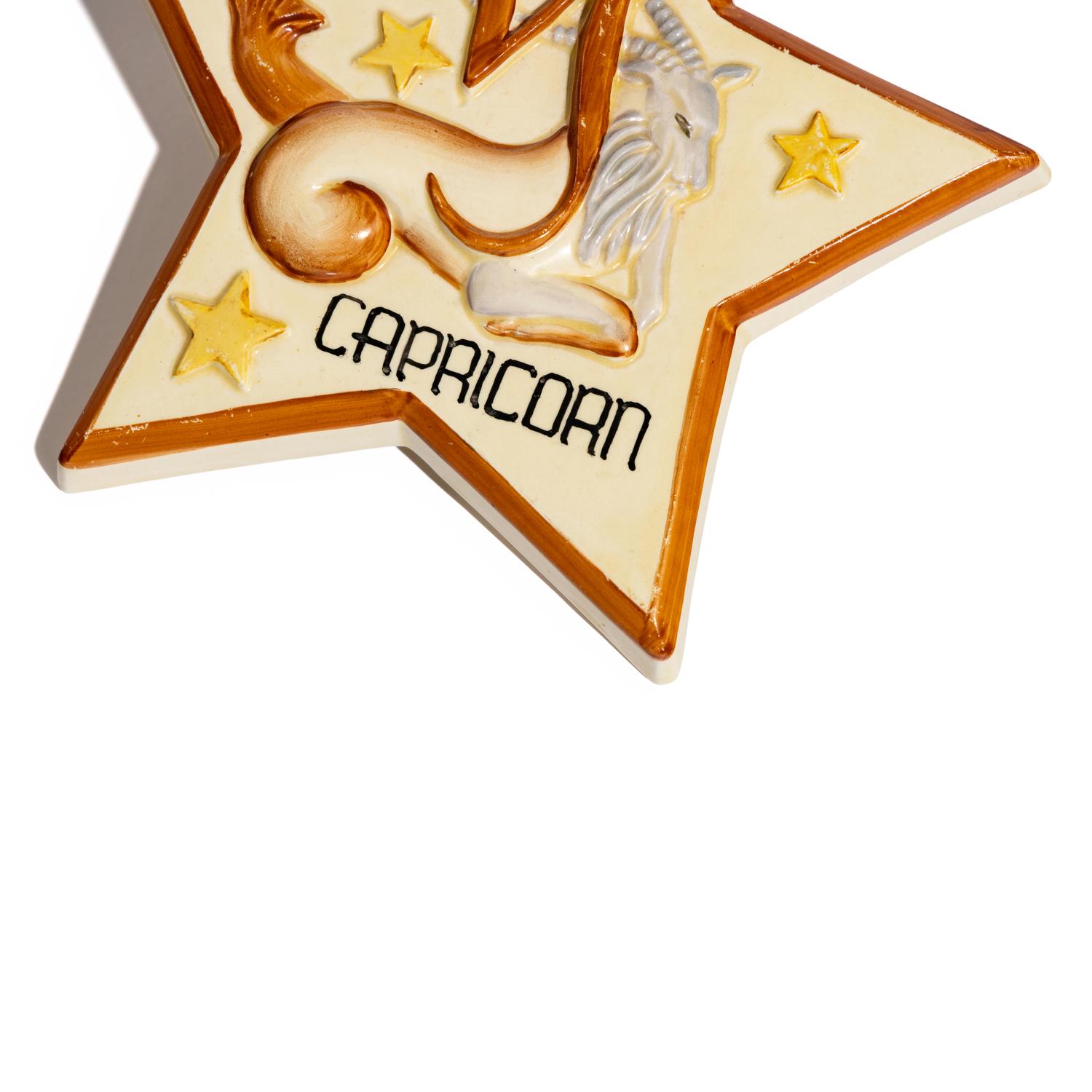 Capricorn 'Star Sign' wall plaque