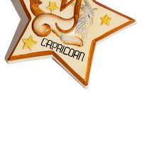 Capricorn 'Star Sign' wall plaque