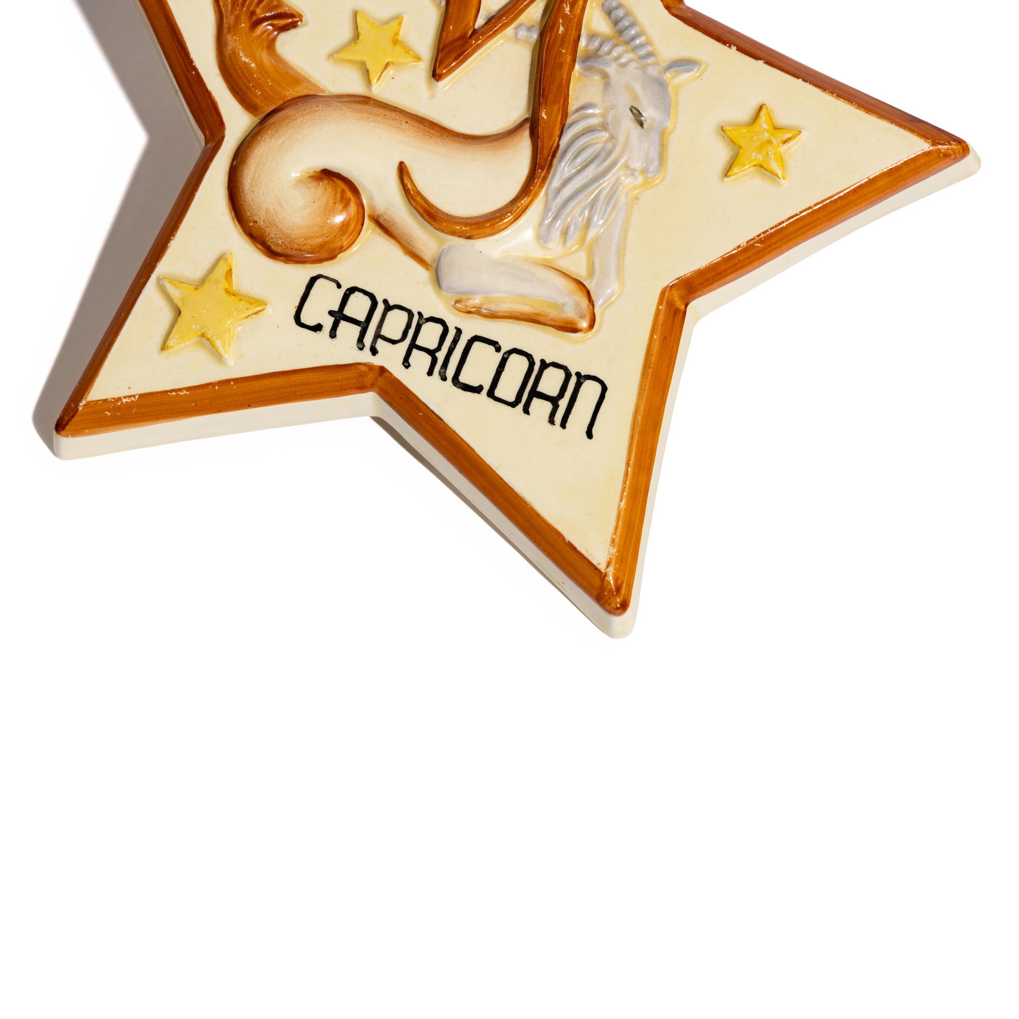 Capricorn 'Star Sign' wall plaque