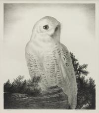 A group of five prints ( Memory , 1971; Four Chickadees , 1956; Little Friends , 1972; Red-Winged Black Birds , 1946; The Matriarch, Owl )