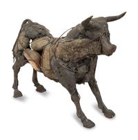 Toro