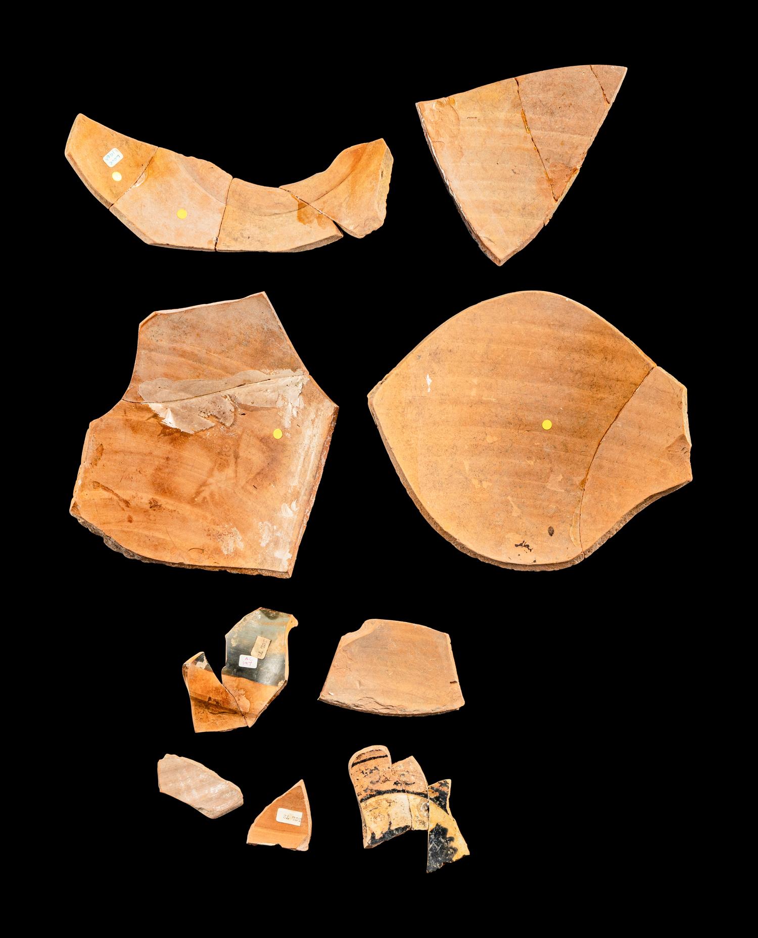 Nine Attic and Laconian Black-Figured Vase Fragments