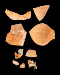Nine Attic and Laconian Black-Figured Vase Fragments