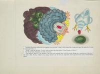 Hale, Kathleen. Original Maquette and Storyboards for "Henrietta's Magic Egg"