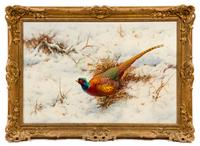 William Hollywood, (British, 1923-2007), Cock Pheasant in Snow, 1973