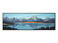 Landscape, Jackson Lake, Wyoming