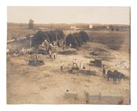[EARLY PHOTOGRAPHY]. Photograph of African American workers baling hay. Credited to African American photographer Arthur P. BEDOU (1880-1966).