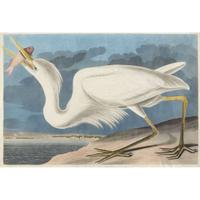 JOHN JAMES AUDUBON (AMERICAN 1785–1851) "GREAT WHITE HERON" (KEY WEST) FROM BIRDS OF AMERICA